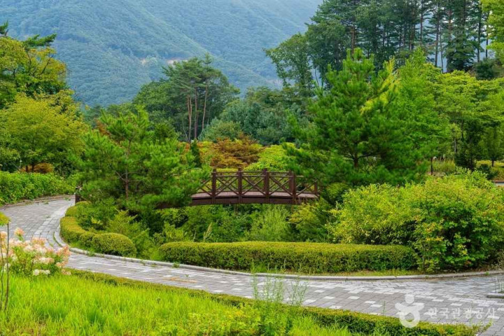 백두대간 생태수목원 여행 추천 - 메고지고