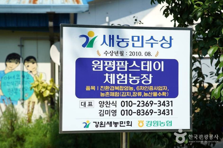 원평 팜스테이 여행 추천 - 메고지고
