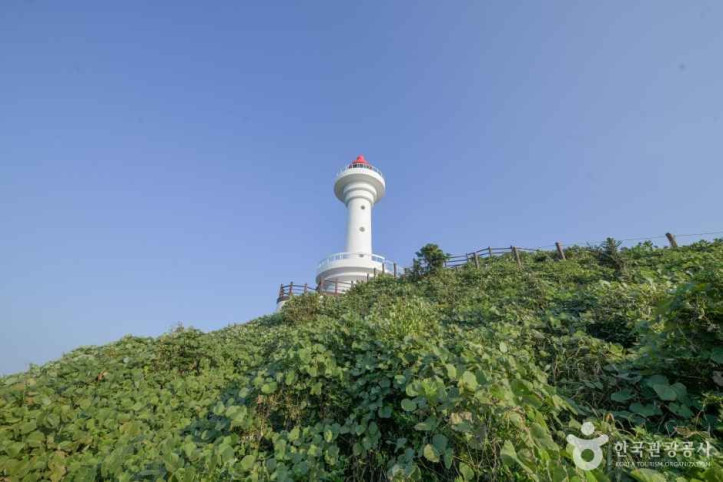 소매물도 등대섬 여행 추천 - 메고지고