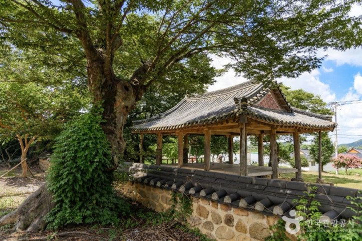 영팔정 여행 추천 - 메고지고