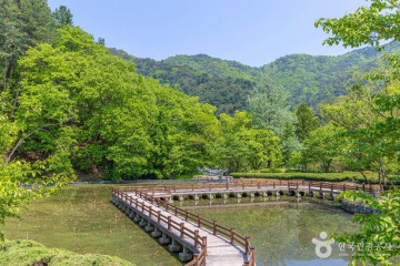 공작산 여행 추천 - 메고지고