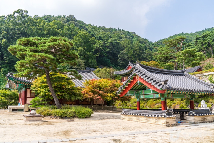 석종사(충주) 여행 추천 - 메고지고