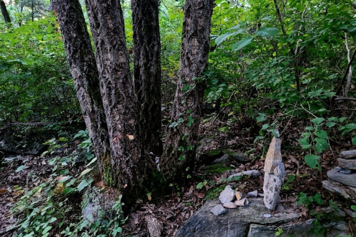 한반도지형(강원고생대 국가지질공원) 여행 추천 - 메고지고
