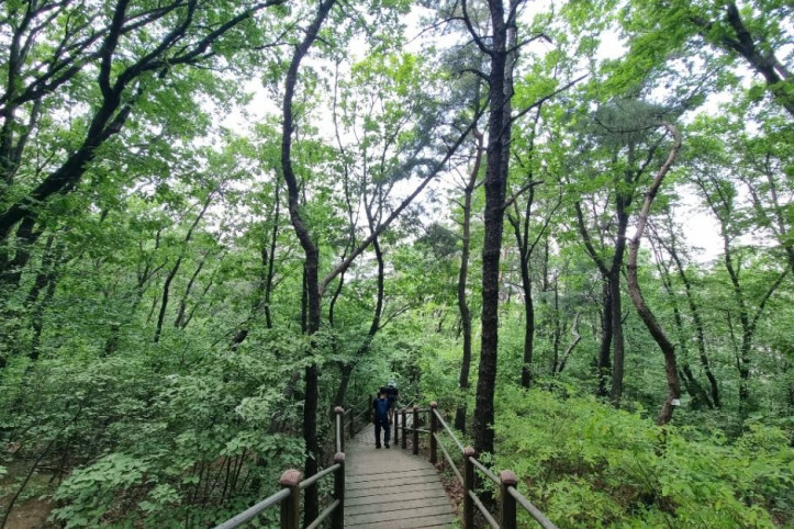 [서울둘레길 9코스] 대모·구룡산코스 여행 추천 - 메고지고