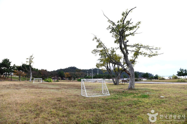 화원 오시아노 관광단지 여행 추천 - 메고지고