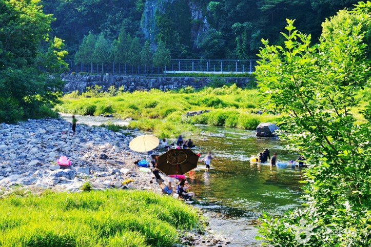 소선암자연휴양림 여행 추천 - 메고지고