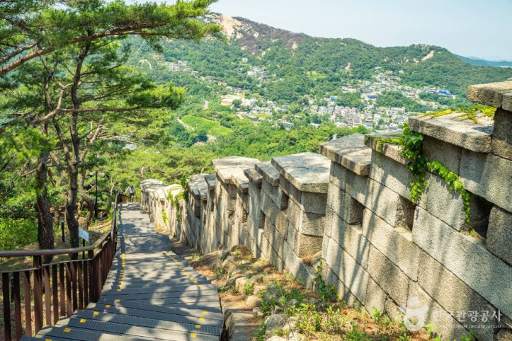 백악마루 여행 추천 - 메고지고