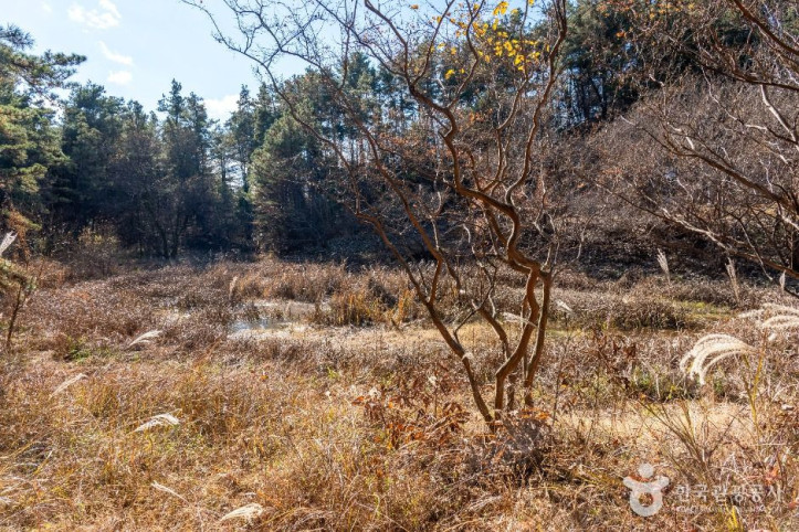 내천못재 여행 추천 - 메고지고