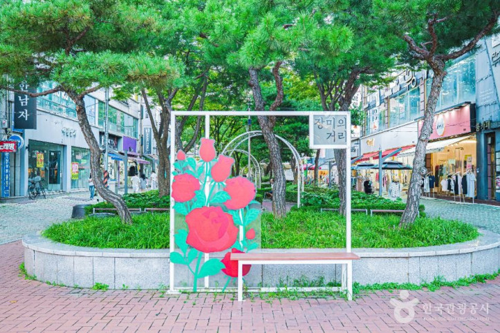 장미의거리 여행 추천 - 메고지고