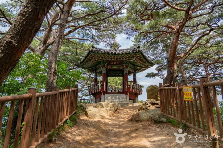 하조대 여행 추천 - 메고지고