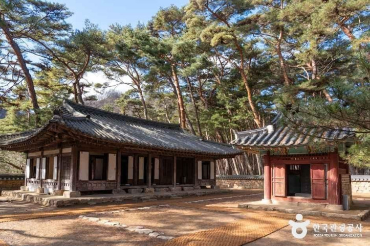 영월 청령포 여행 추천 - 메고지고