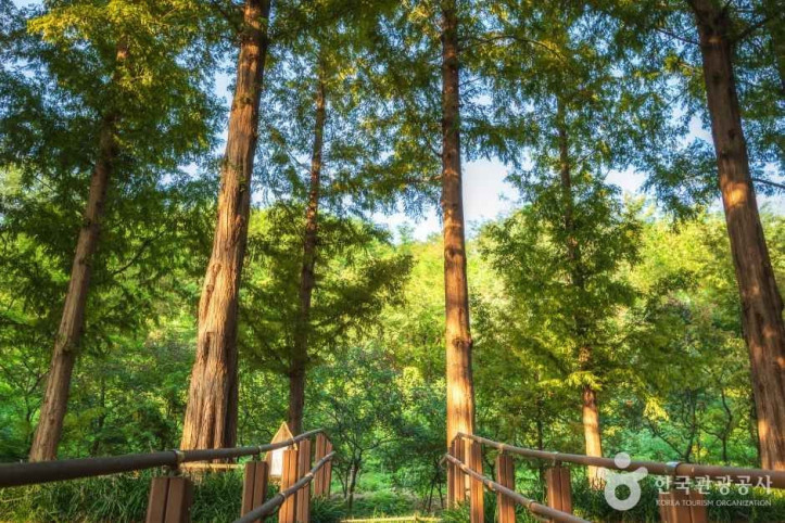 월드컵공원 여행 추천 - 메고지고