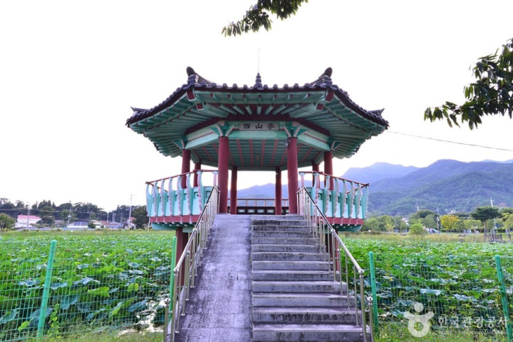 죽동제 여행 추천 - 메고지고