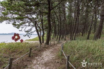 짱뚱어다리 여행 추천 - 메고지고