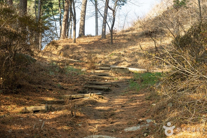 축령산 여행 추천 - 메고지고