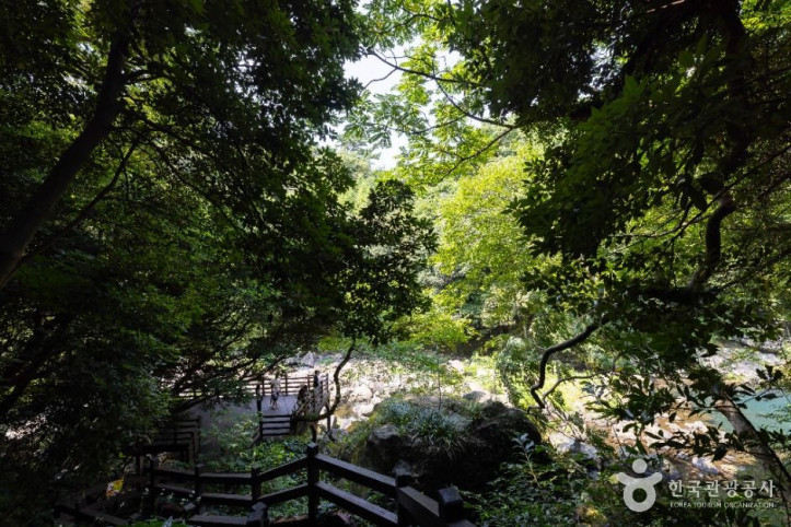 천제연폭포 여행 추천 - 메고지고