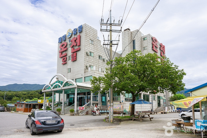 제일유황온천 여행 추천 - 메고지고