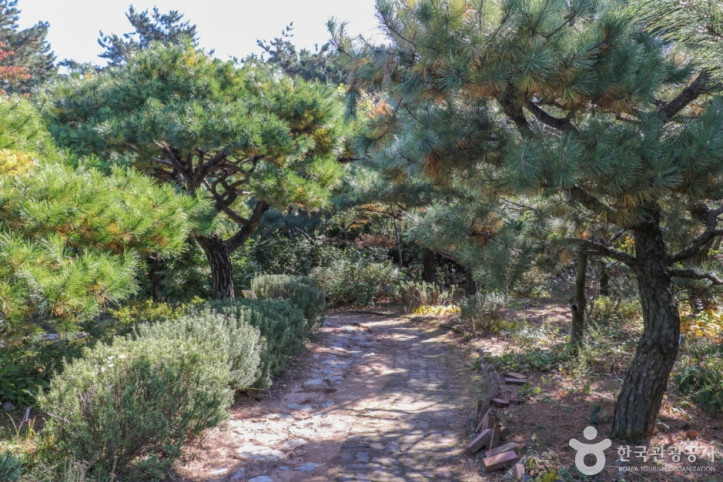 울산테마식물수목원 여행 추천 - 메고지고