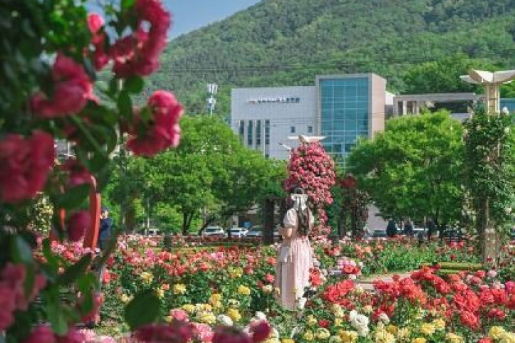 이곡장미공원 여행 추천 - 메고지고