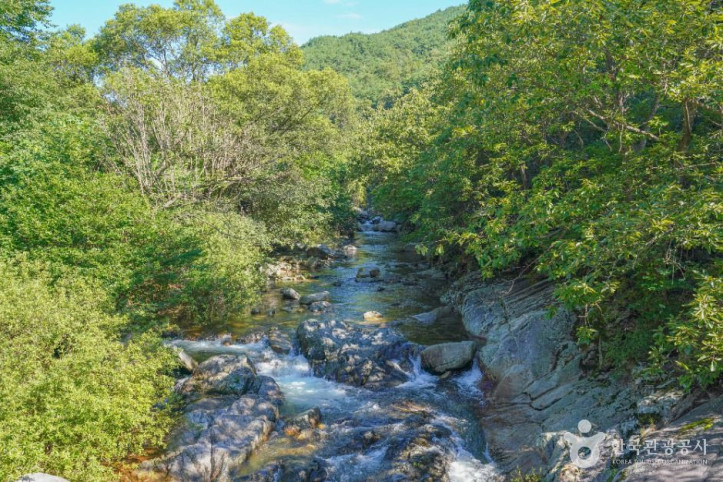 기백산 용추계곡과 용추폭포 여행 추천 - 메고지고