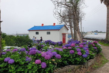법화사 여행 추천 - 메고지고