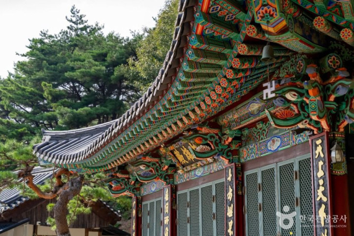 청안사(세종) 여행 추천 - 메고지고