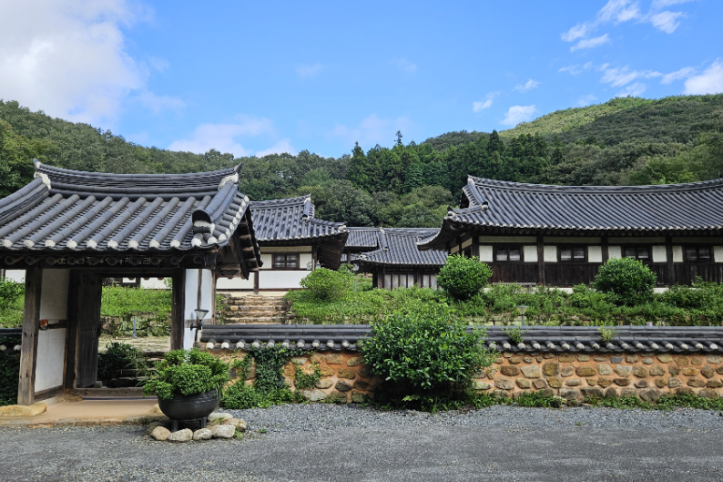 순천전통야생차체험관 여행 추천 - 메고지고