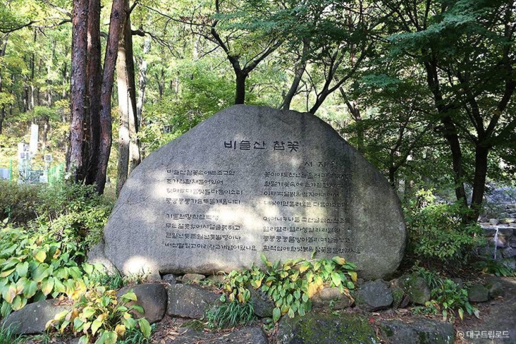 비슬산군립공원 여행 추천 - 메고지고
