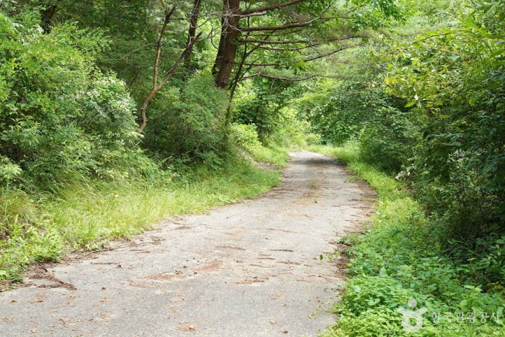 기우산(정선) 여행 추천 - 메고지고
