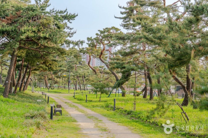 노송지대 여행 추천 - 메고지고