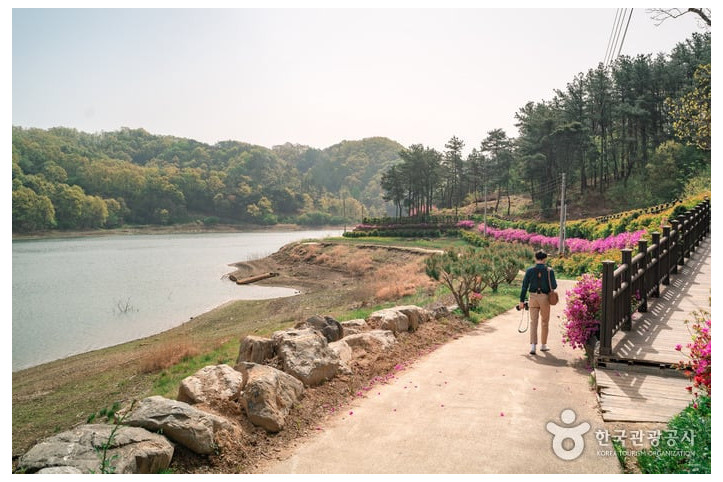 부소담악(추소정) 여행 추천 - 메고지고