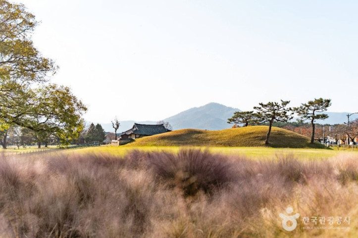 경주 동부 사적지대 여행 추천 - 메고지고