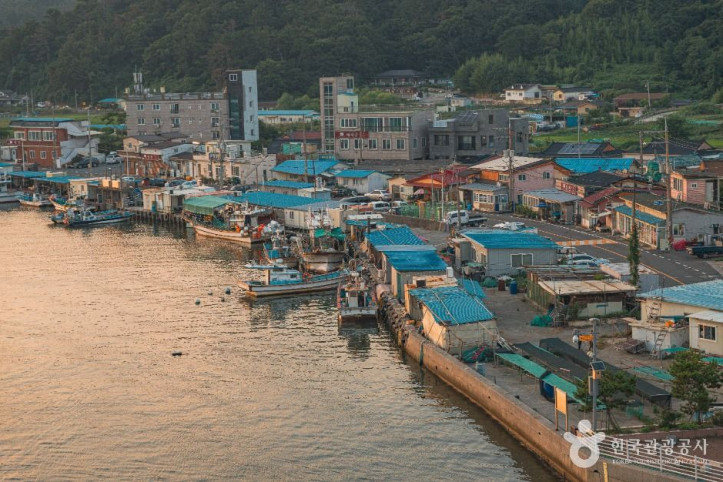 강양항 여행 추천 - 메고지고