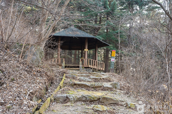 축령산 여행 추천 - 메고지고