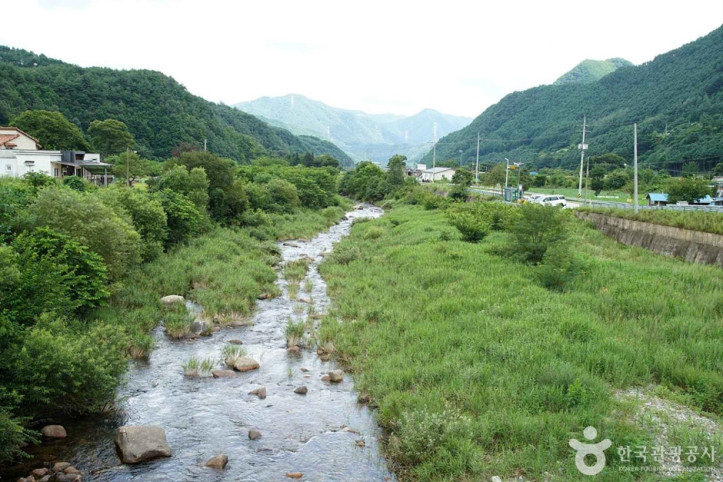정선 가리왕산마을 여행 추천 - 메고지고