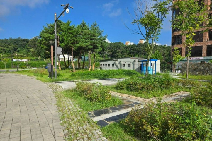 배꽃근린공원 여행 추천 - 메고지고