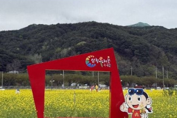 삼척 맹방유채꽃 마을 여행 추천 - 메고지고