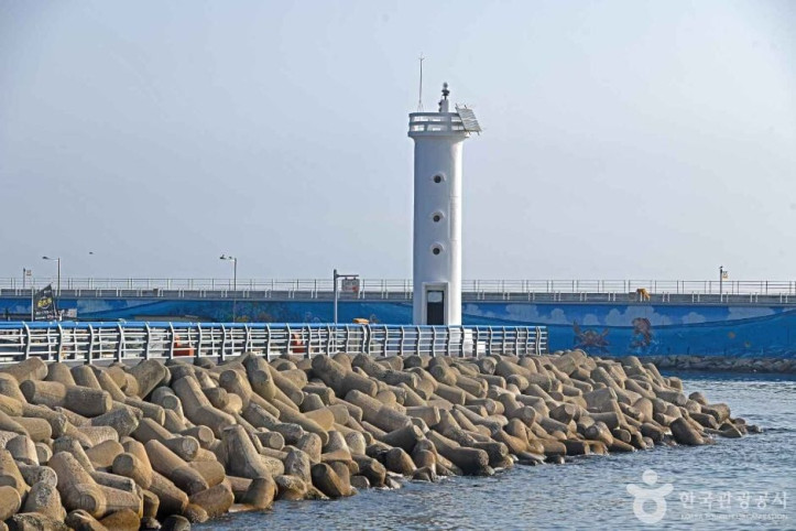 대진항 여행 추천 - 메고지고