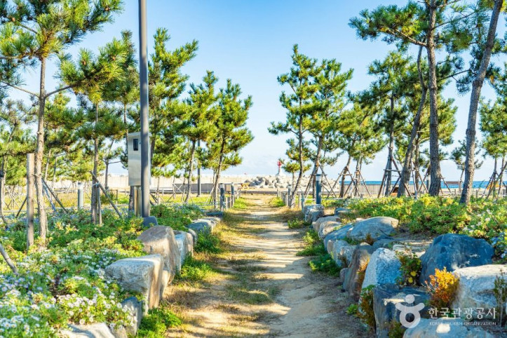 기성항 여행 추천 - 메고지고
