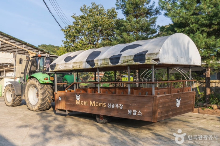 맘맘스 여행 추천 - 메고지고