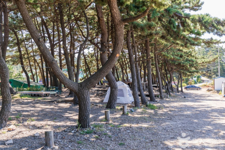 샛별해수욕장 여행 추천 - 메고지고