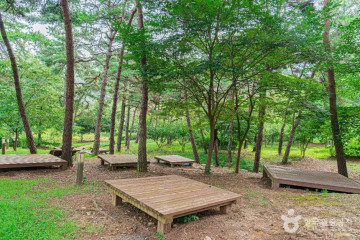 금성산(전남) 여행 추천 - 메고지고