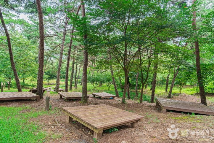 금성산생태숲 여행 추천 - 메고지고