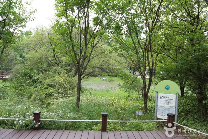물향기수목원 여행 추천 - 메고지고