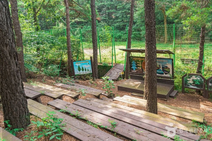 문수산산림욕장 여행 추천 - 메고지고