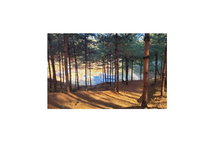 자일산림욕장 여행 추천 - 메고지고