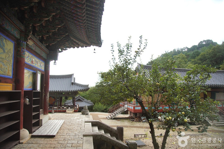 천은사(삼척) 여행 추천 - 메고지고