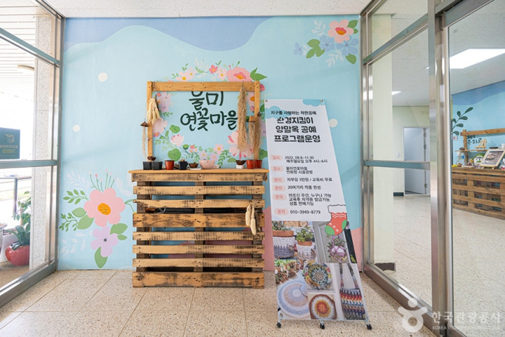 울미연꽃마을 여행 추천 - 메고지고