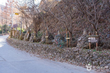 참샘허브나라 여행 추천 - 메고지고