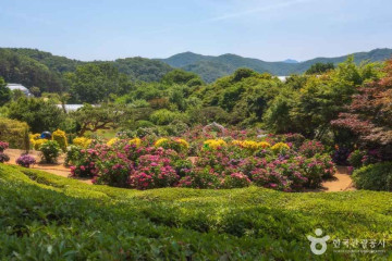 경안천 습지생태공원 여행 추천 - 메고지고